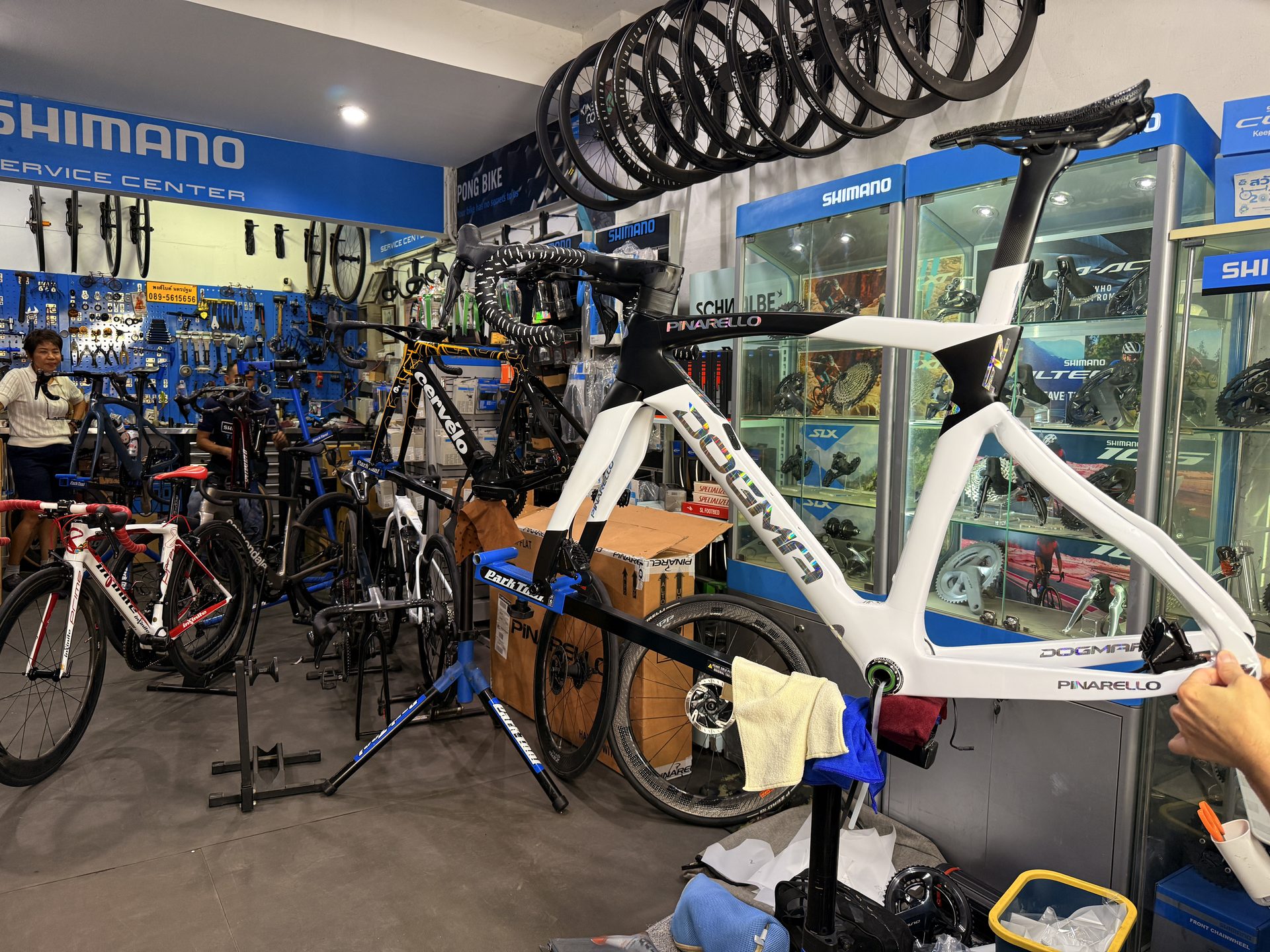ภายในร้านพงศ์ไบค์ จักรยาน Pinarello และ Shimano Service Center